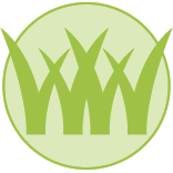 Palm Bay Lawn Mowing