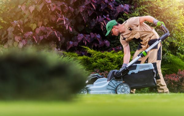 Lawn Care And Maintenance in Palm Bay