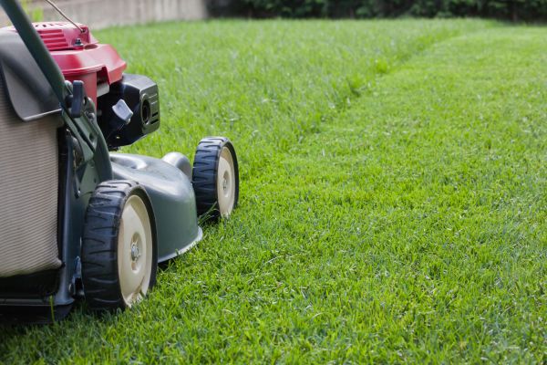Lawn Care Service in Palm Bay