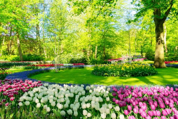 Spring Lawn Care in Palm Bay