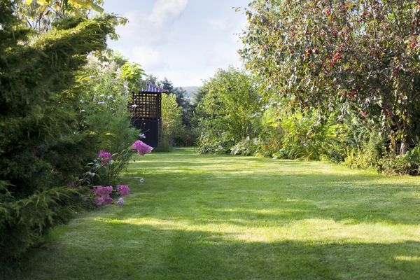 Yard Upkeep Service in Palm Bay