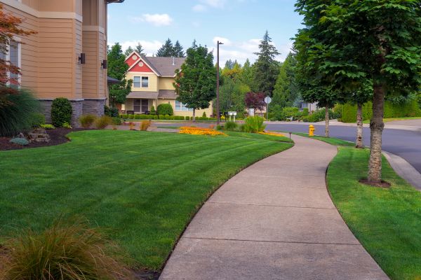 Cost of Home Lawn Maintenance in Palm Bay