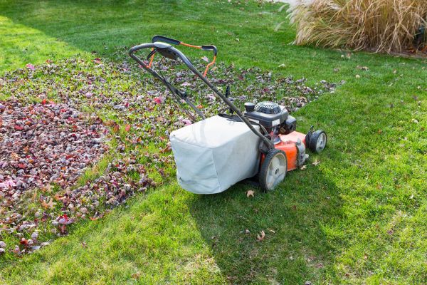 Seasonal Lawn Care in Palm Bay