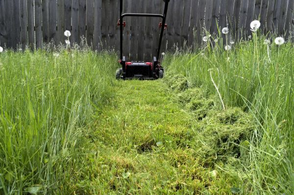 High Grass Mowing in Palm Bay