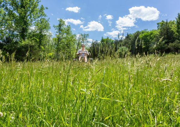 Long Grass Mowing in Palm Bay