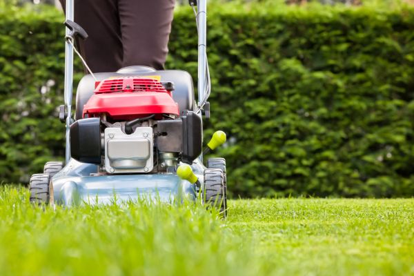Grass Trimming Service in Palm Bay