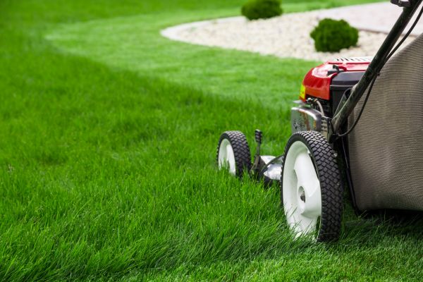 Weekly Mowing in Palm Bay