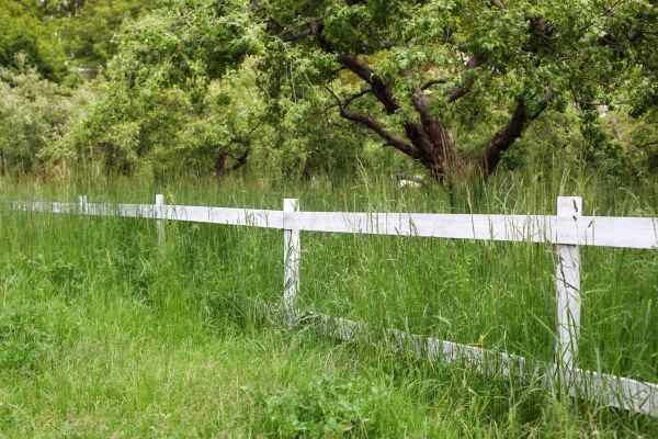 Cost of Fence Line Trimming in Palm Bay