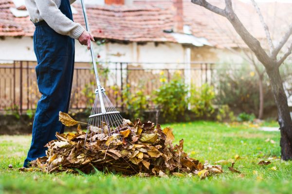 Routine Lawn Maintenance in Palm Bay