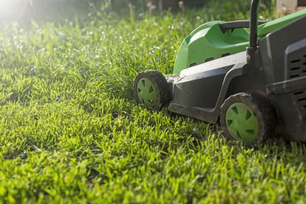 Cost of Lot Mowing in Palm Bay