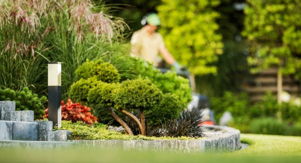 Residential Yard Maintenance in Palm Bay