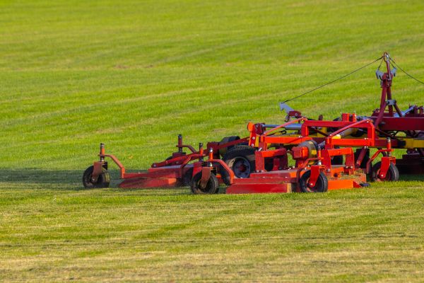 Industrial Lawn Service in Palm Bay