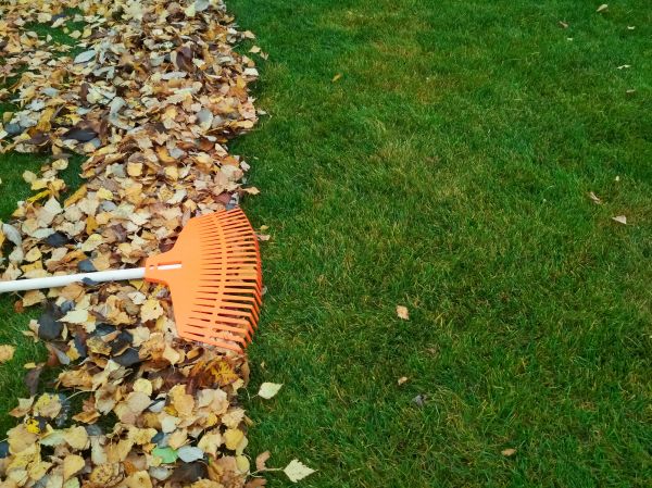Fall Lawn Care in Palm Bay