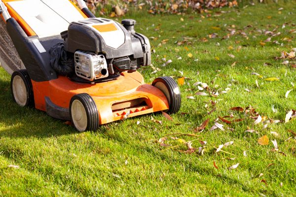 Cost of Fall Mowing in Palm Bay