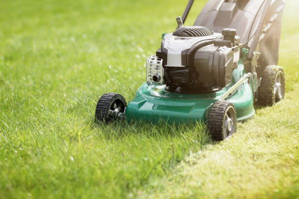 Spring Grass Trimming in Palm Bay
