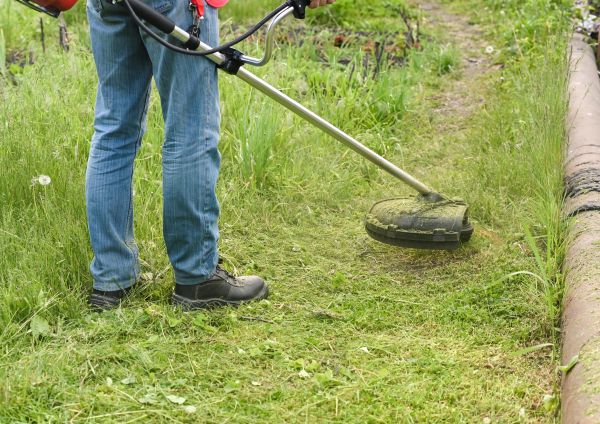 Cost of Tall Grass Trimming in Palm Bay