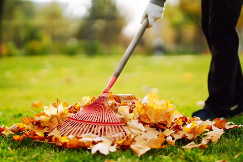 Leaf Raking Technique